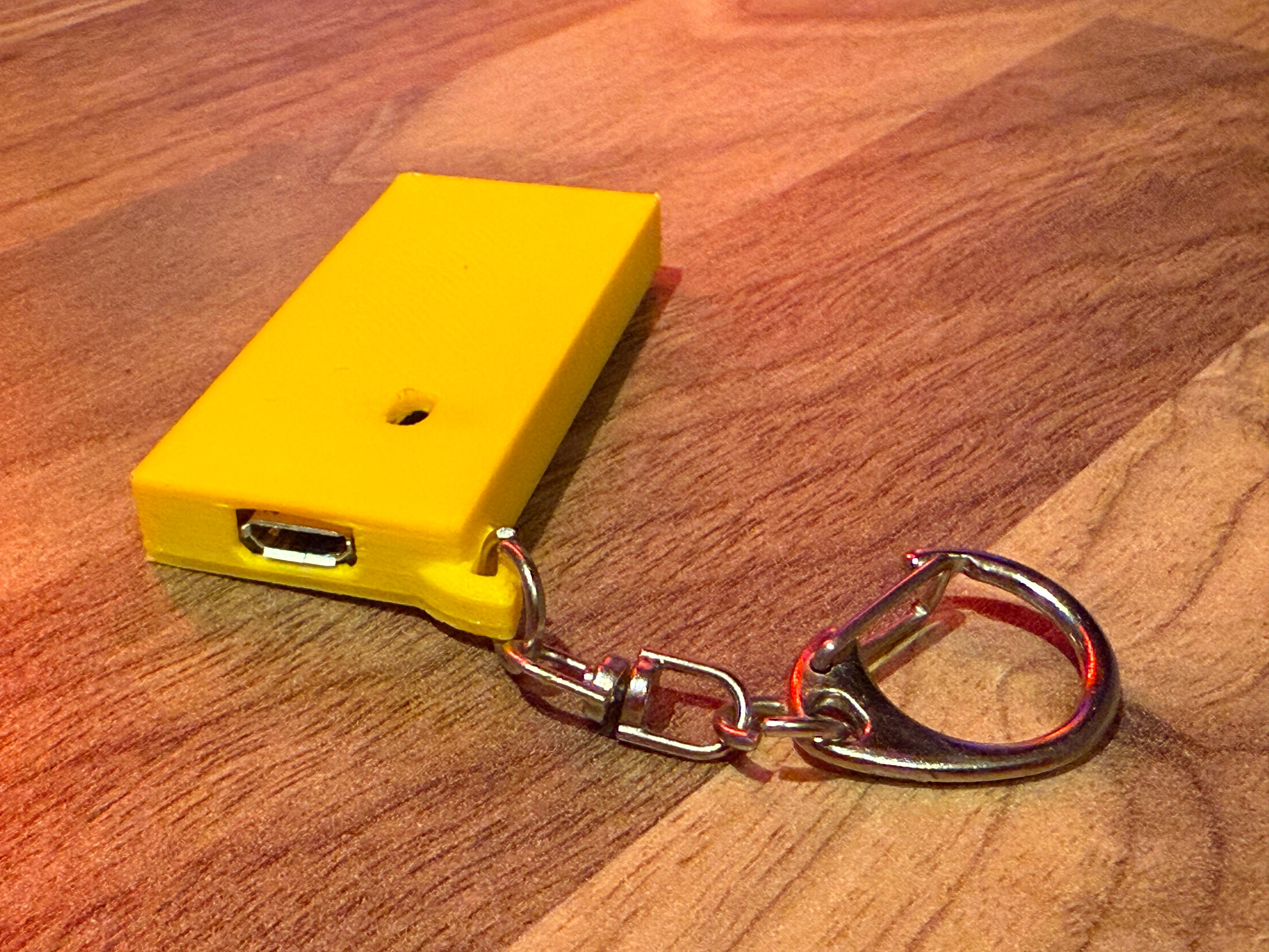 Raspberry Pico Keychain Case - top view