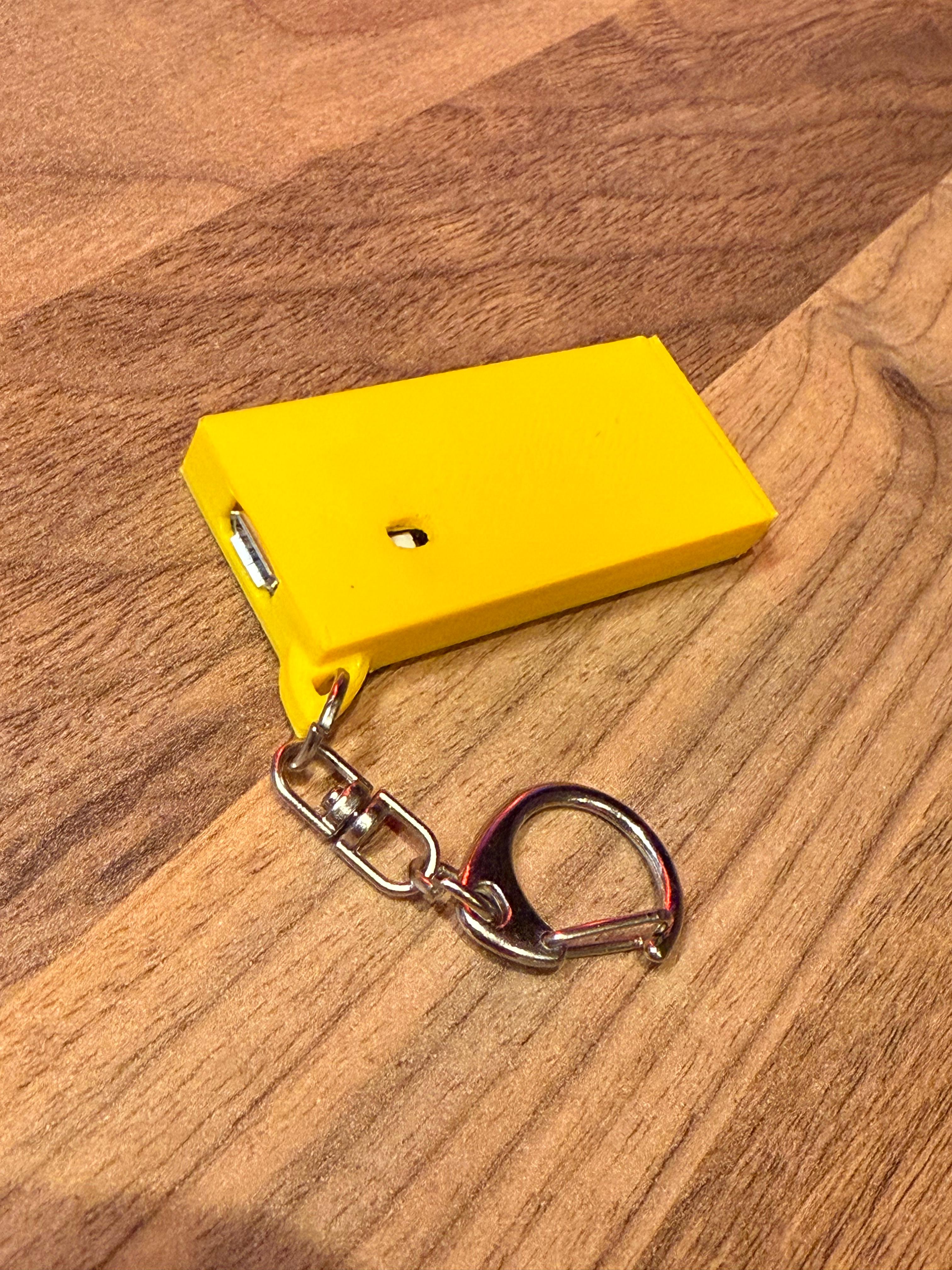 Raspberry Pico Keychain Case - angled view
